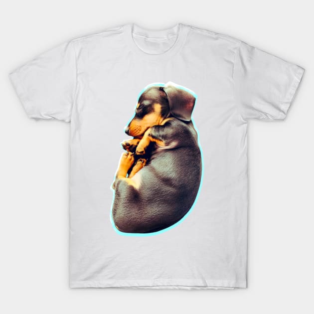 Puppy power - Cava T-Shirt by bobdijkers